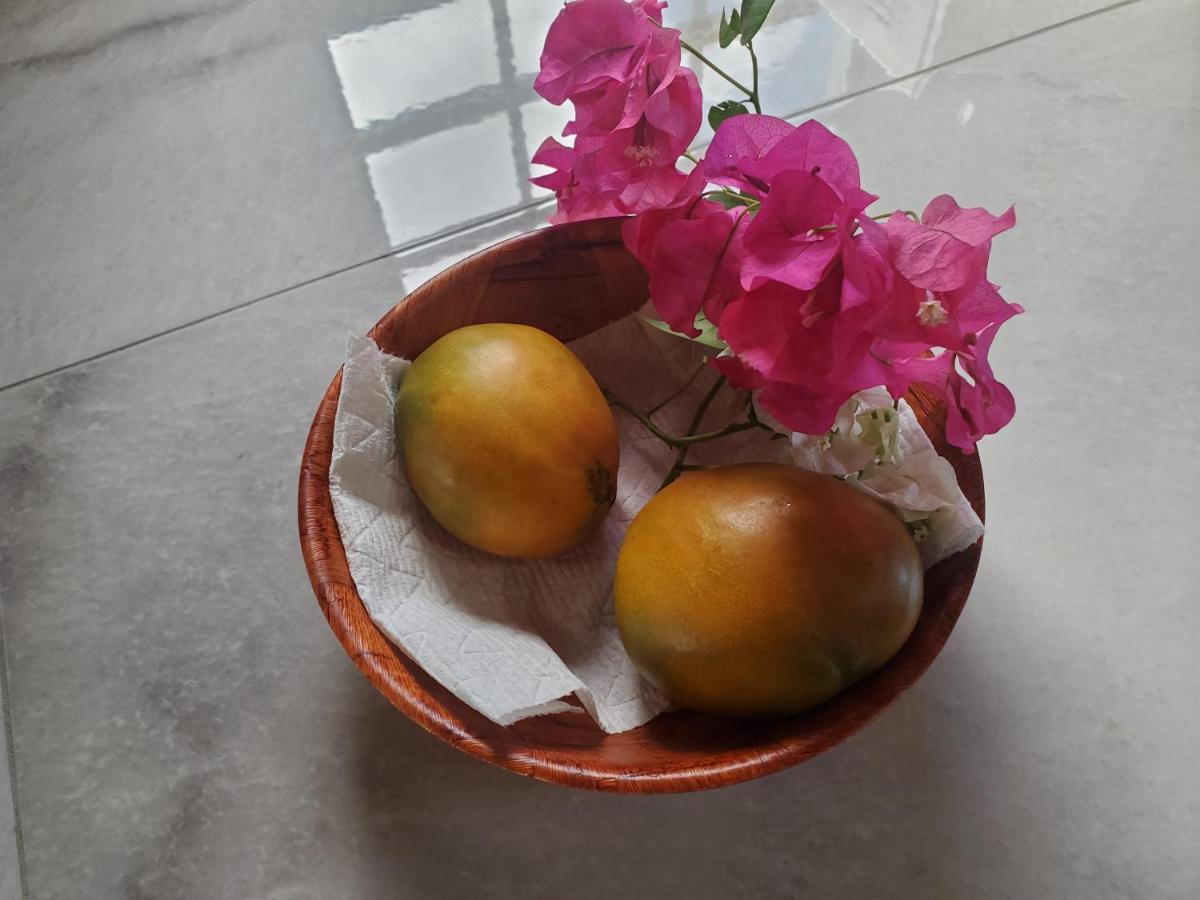 Annasville Comfort Studio Nazareth Ngoại thất bức ảnh
